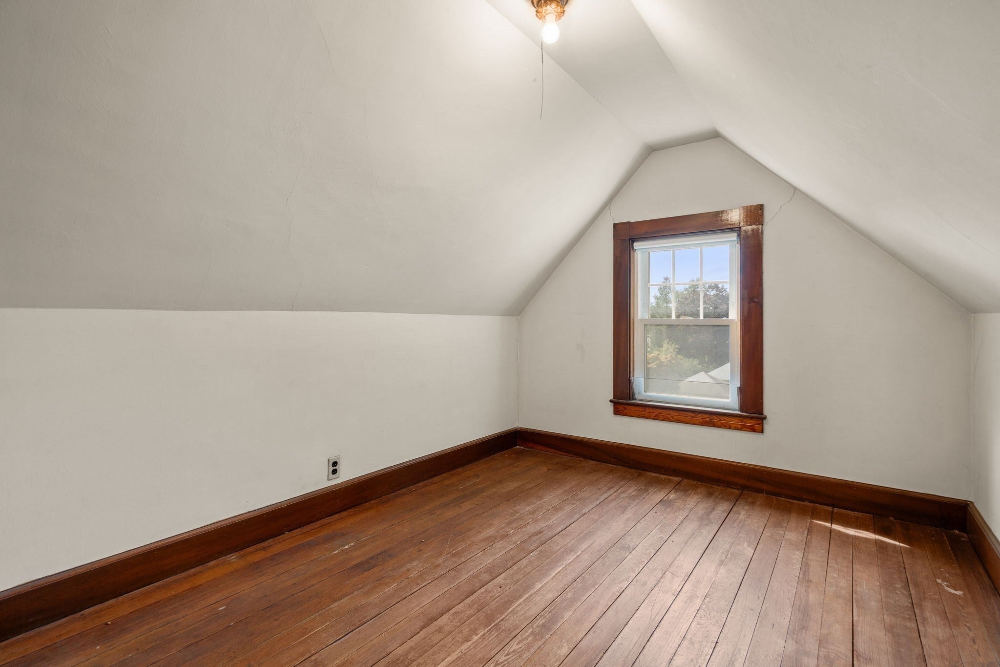 42 Bigelow St, Boston, MA, 42 Bigelow St, Boston, MA Photo #22