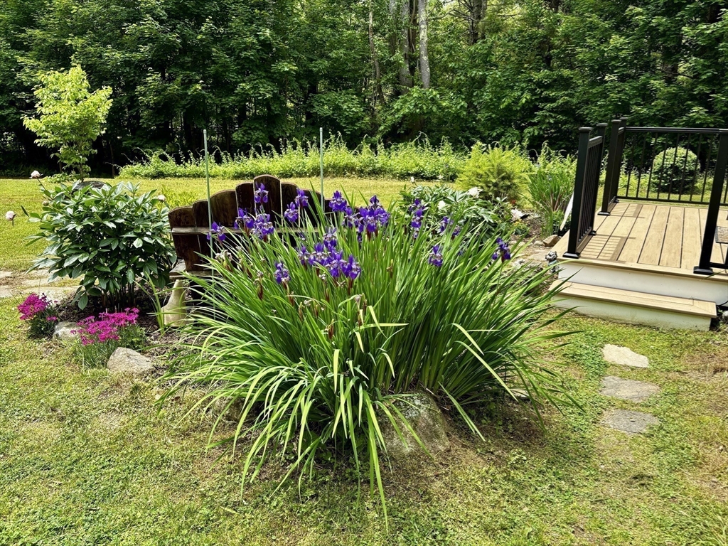 561 Belchertown Rd