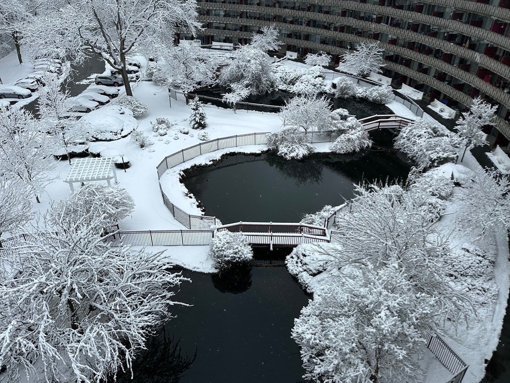 200 Swanton St #705, Winchester, MA, 200 Swanton St #705, Winchester, MA Photo #19