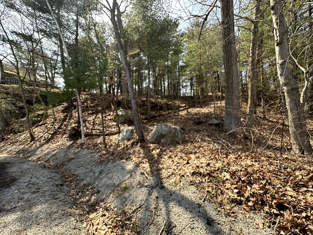14 Cliff Rd