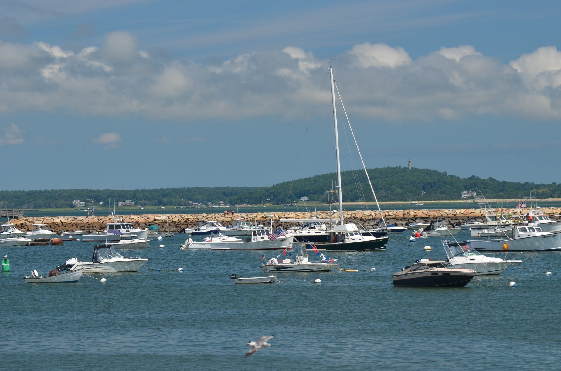 7 Hat Trick Dr, Plymouth, MA Photo #28