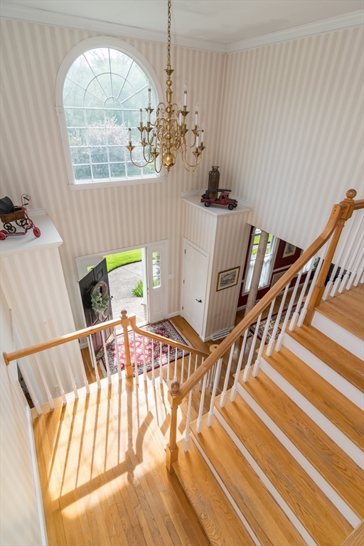 5 Warner Way