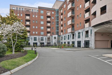 165 Cottage Street 213 Chelsea MA 02150