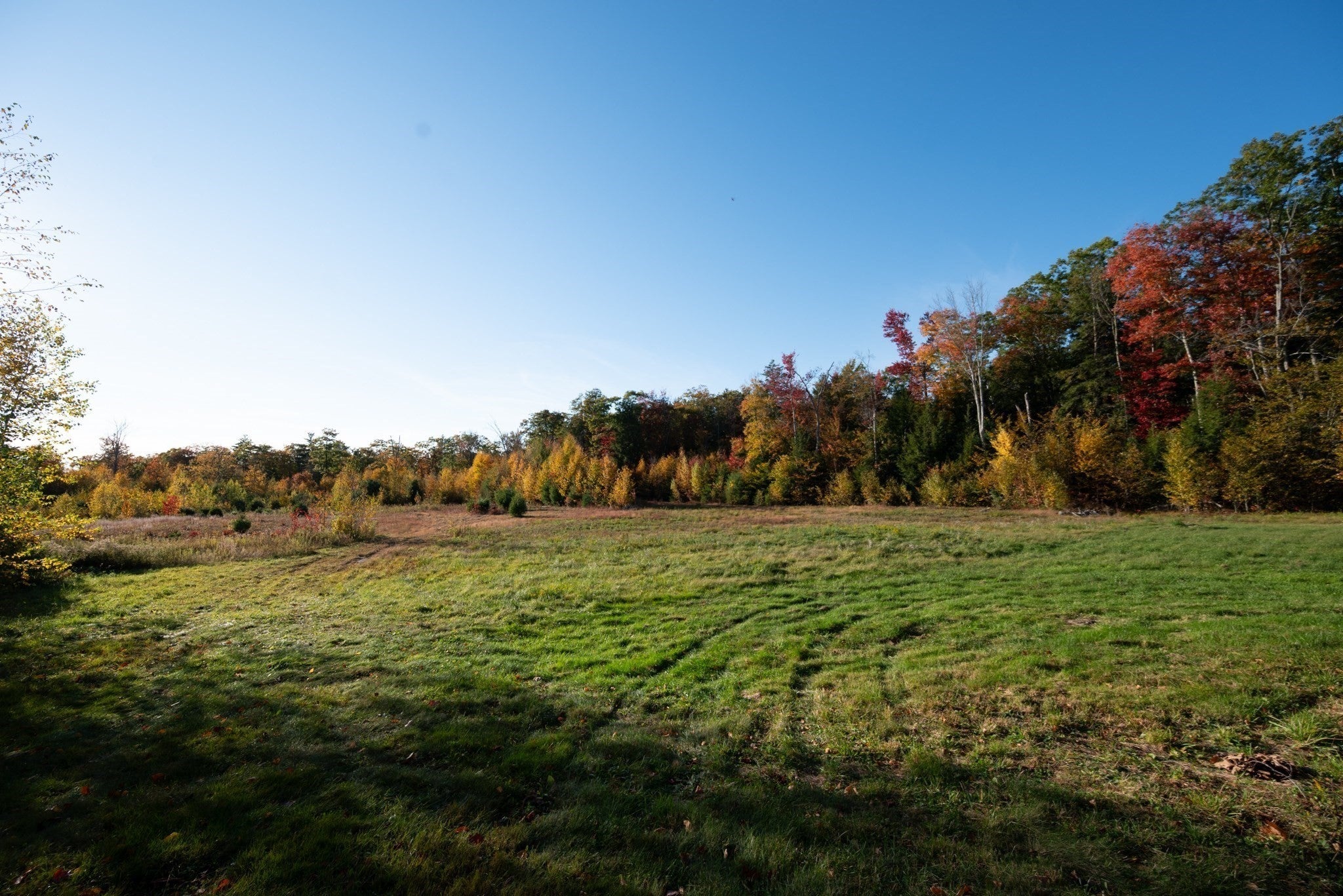 121 Bliss Hill Rd, Royalston, MA Photo #7