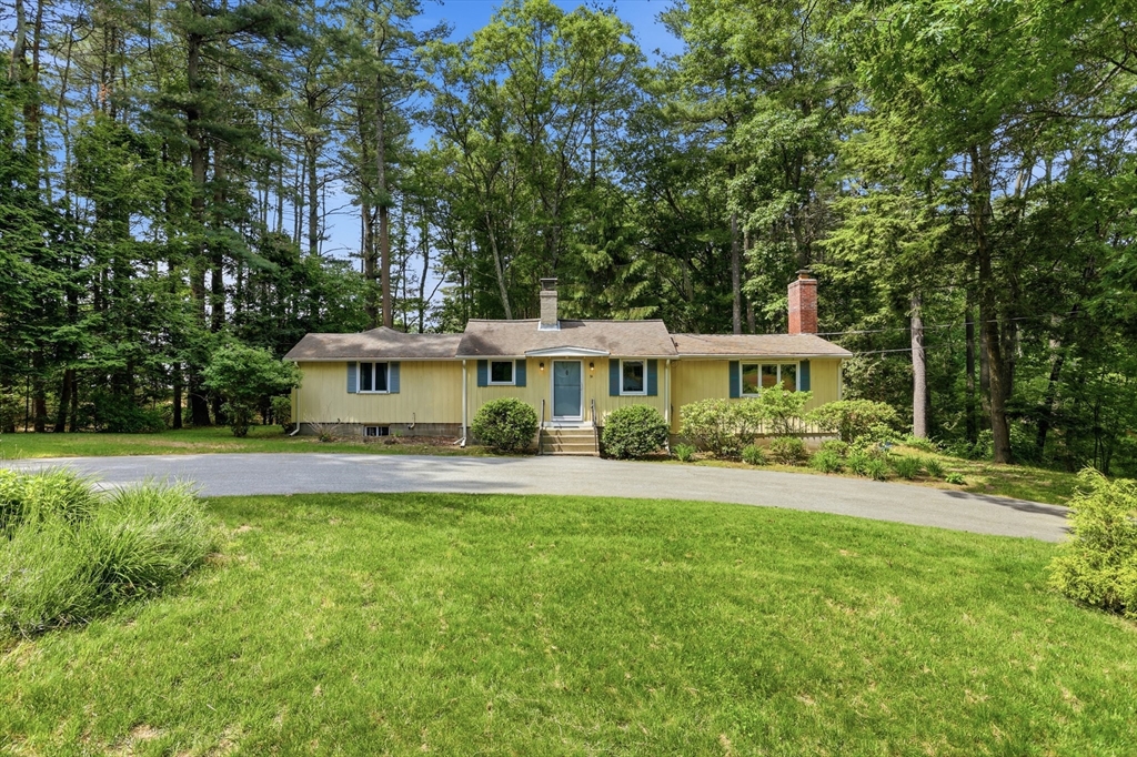 24 Forest Rd