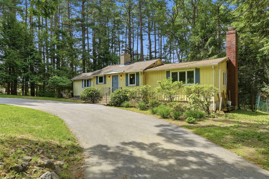 24 Forest Rd