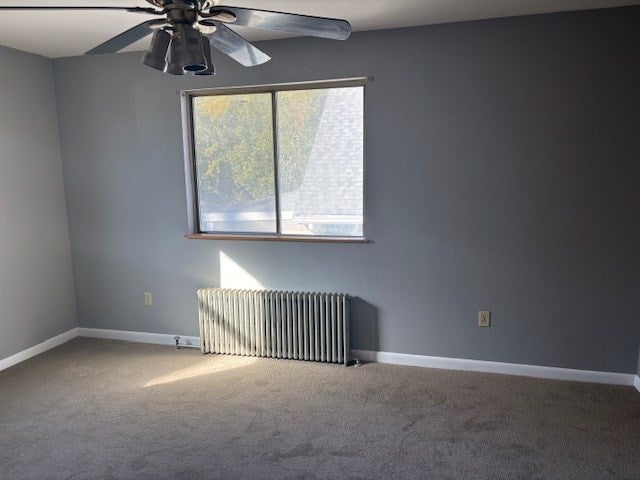 19 Ainsley St, Boston, MA, 19 Ainsley St, Boston, MA Photo #12