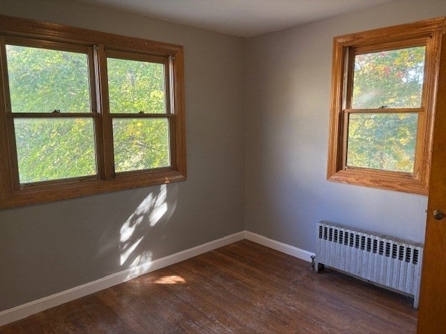 19 Ainsley St, Boston, MA, 19 Ainsley St, Boston, MA Photo #14
