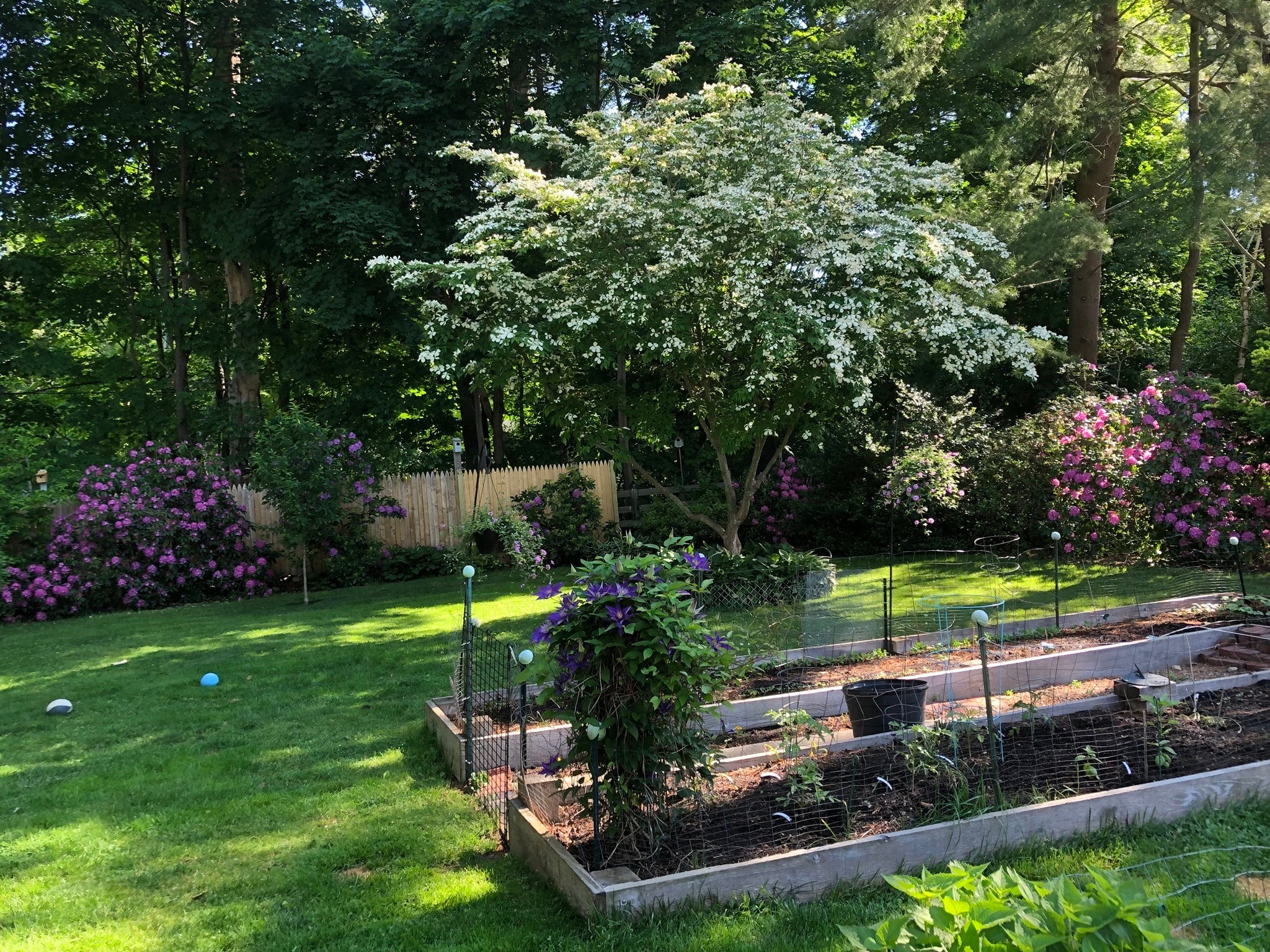 14 Ortins Rd, Hamilton, MA, 14 Ortins Rd, Hamilton, MA Photo #42