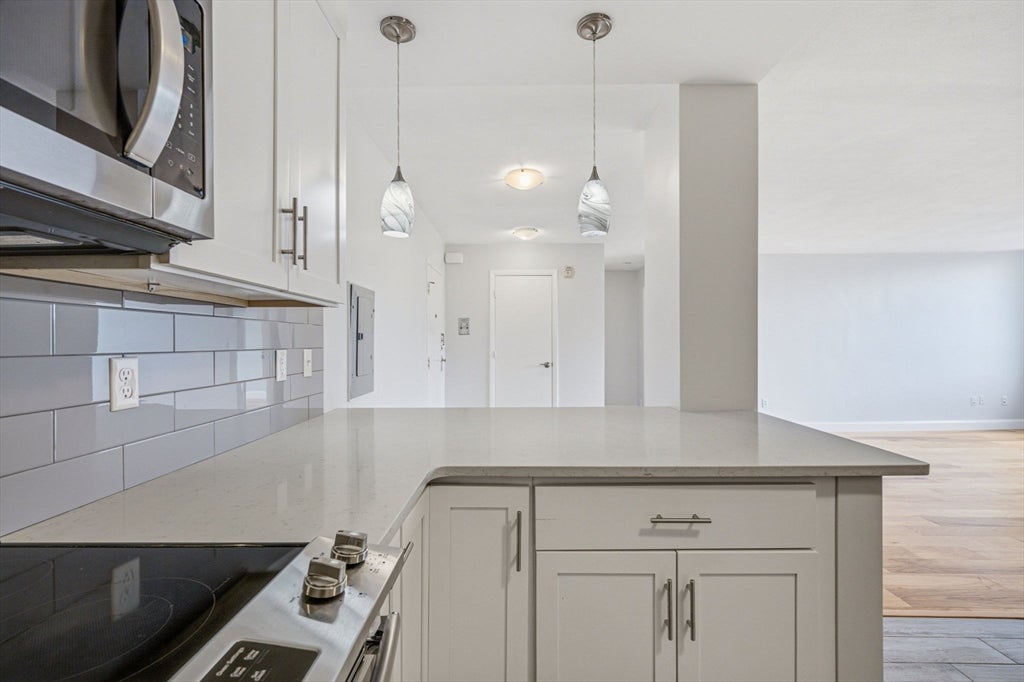 20 Hammond Pond Pkwy #506, Newton, MA, 20 Hammond Pond Pkwy #506, Newton, MA Photo #17