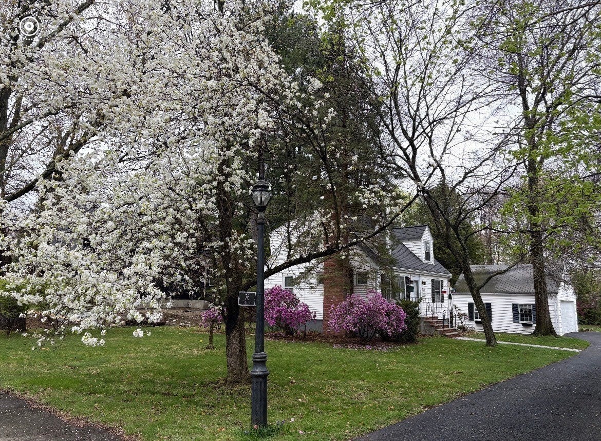 76 Curtis Street, Reading, MA Photo #33