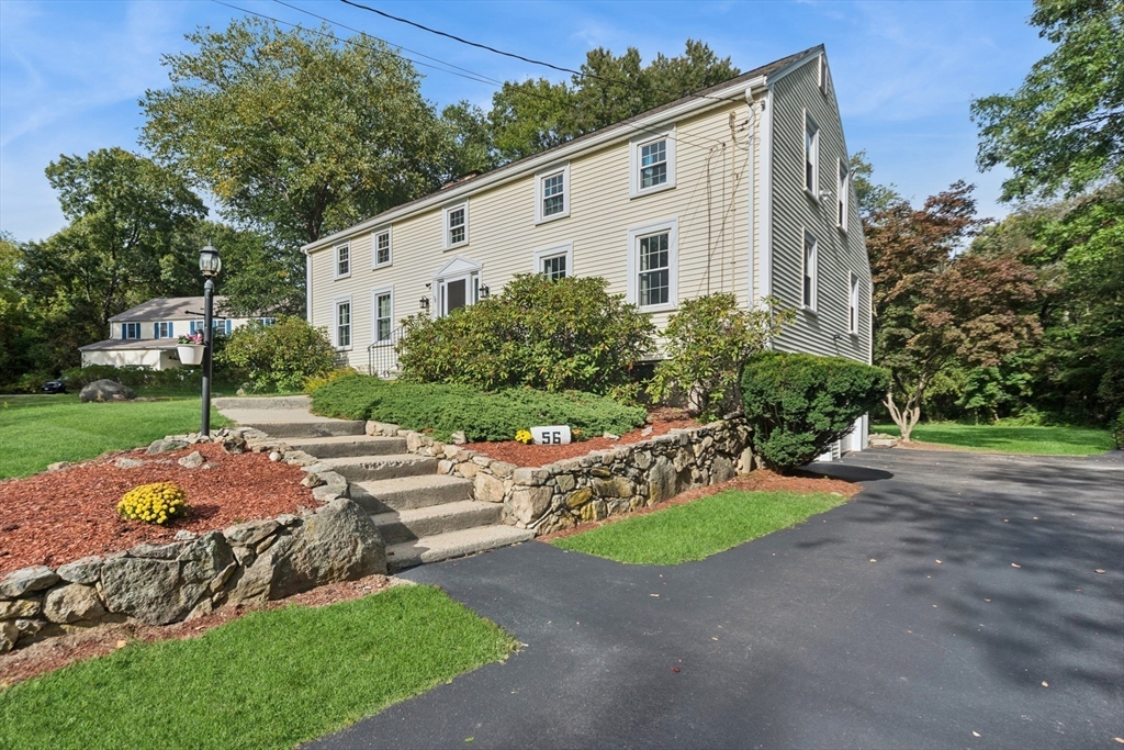 56 Fisher St