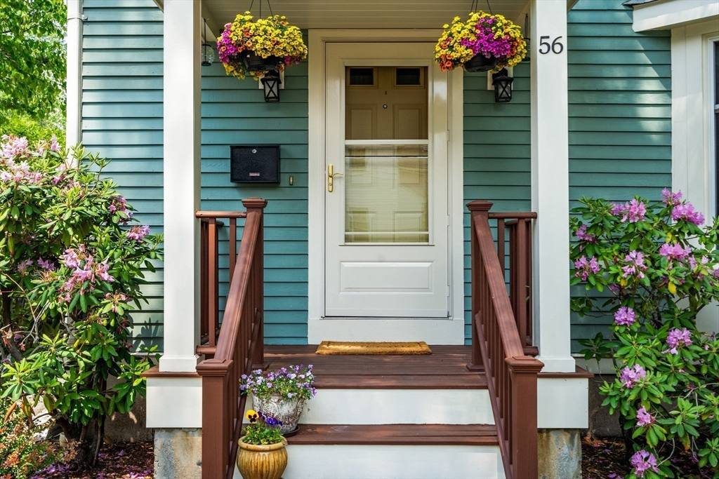 56 Wren St