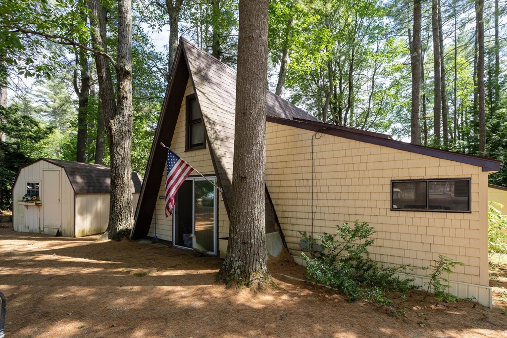 240 Pine Tree Lane