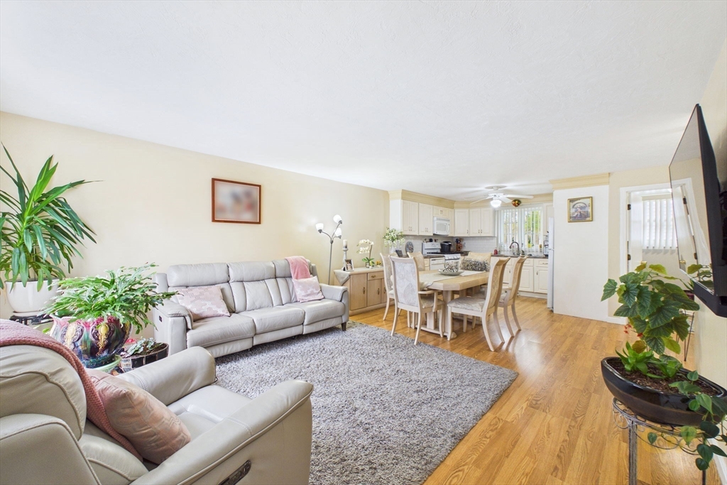 120 Lewin St 7