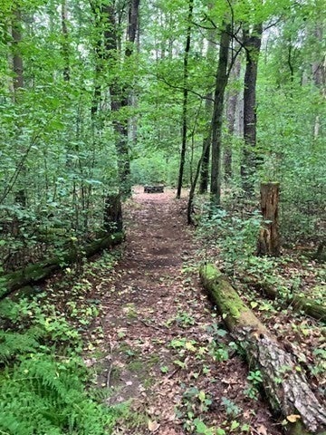 1076 Stony Hill Rd, Wilbraham, MA, 1076 Stony Hill Rd, Wilbraham, MA Photo #34
