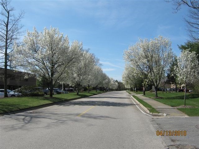 100 Corporate Park Drive