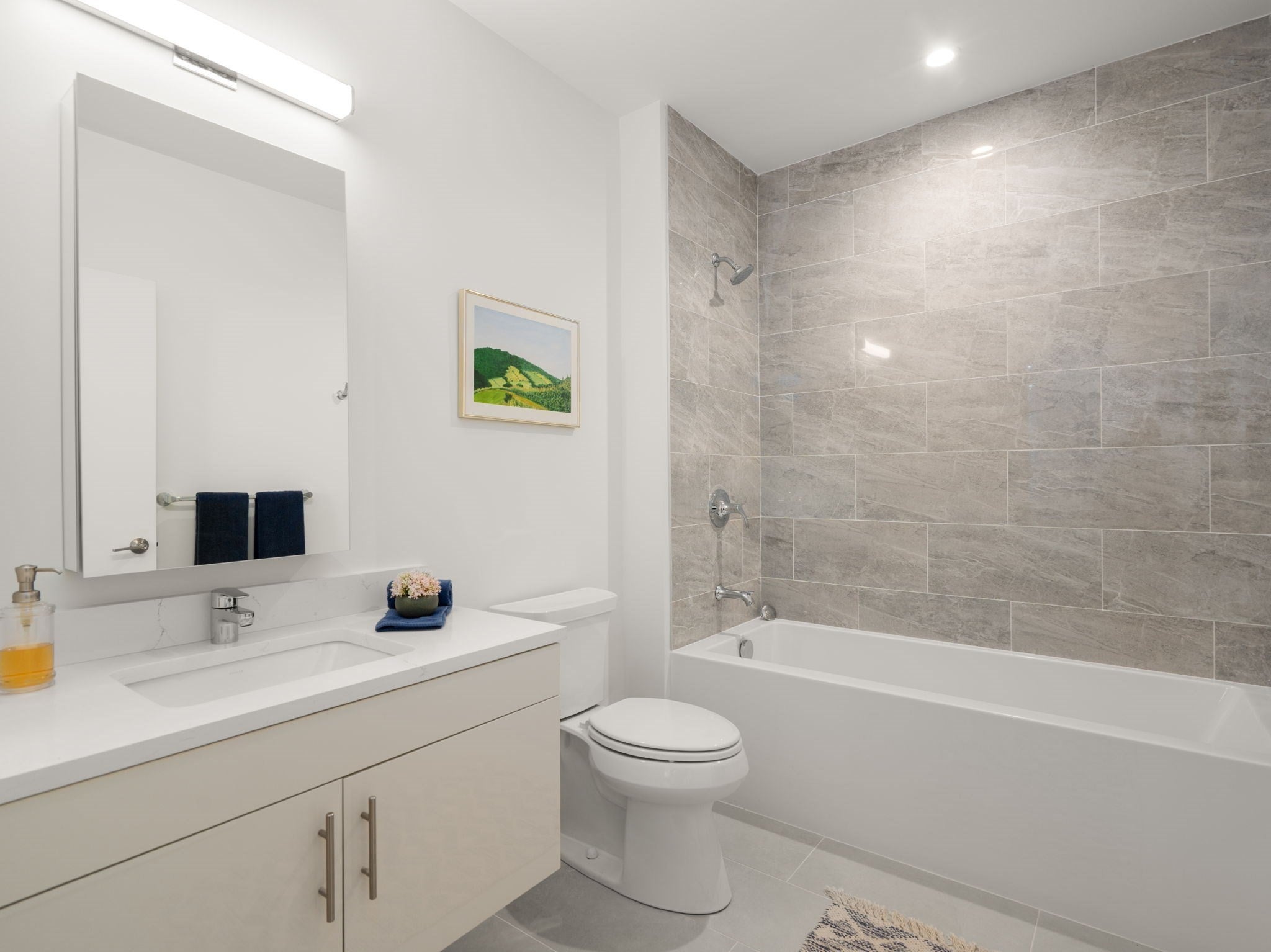 1151 Walnut ST #301, Newton, MA, 1151 Walnut ST #301, Newton, MA Photo #13