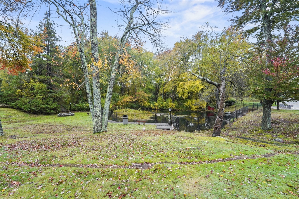 4 Shadow Brook Lane 31