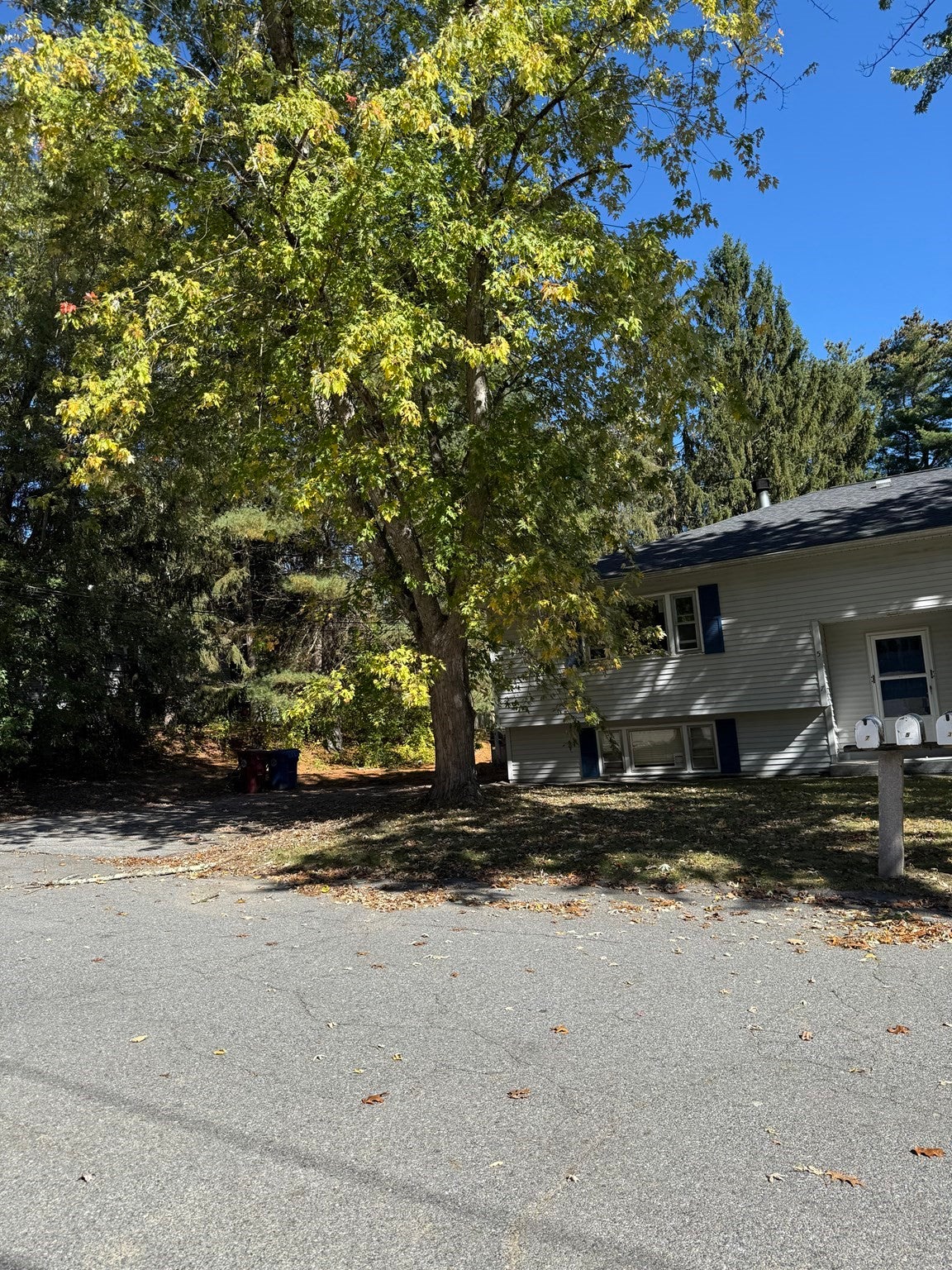 5 Patricia Drive 5