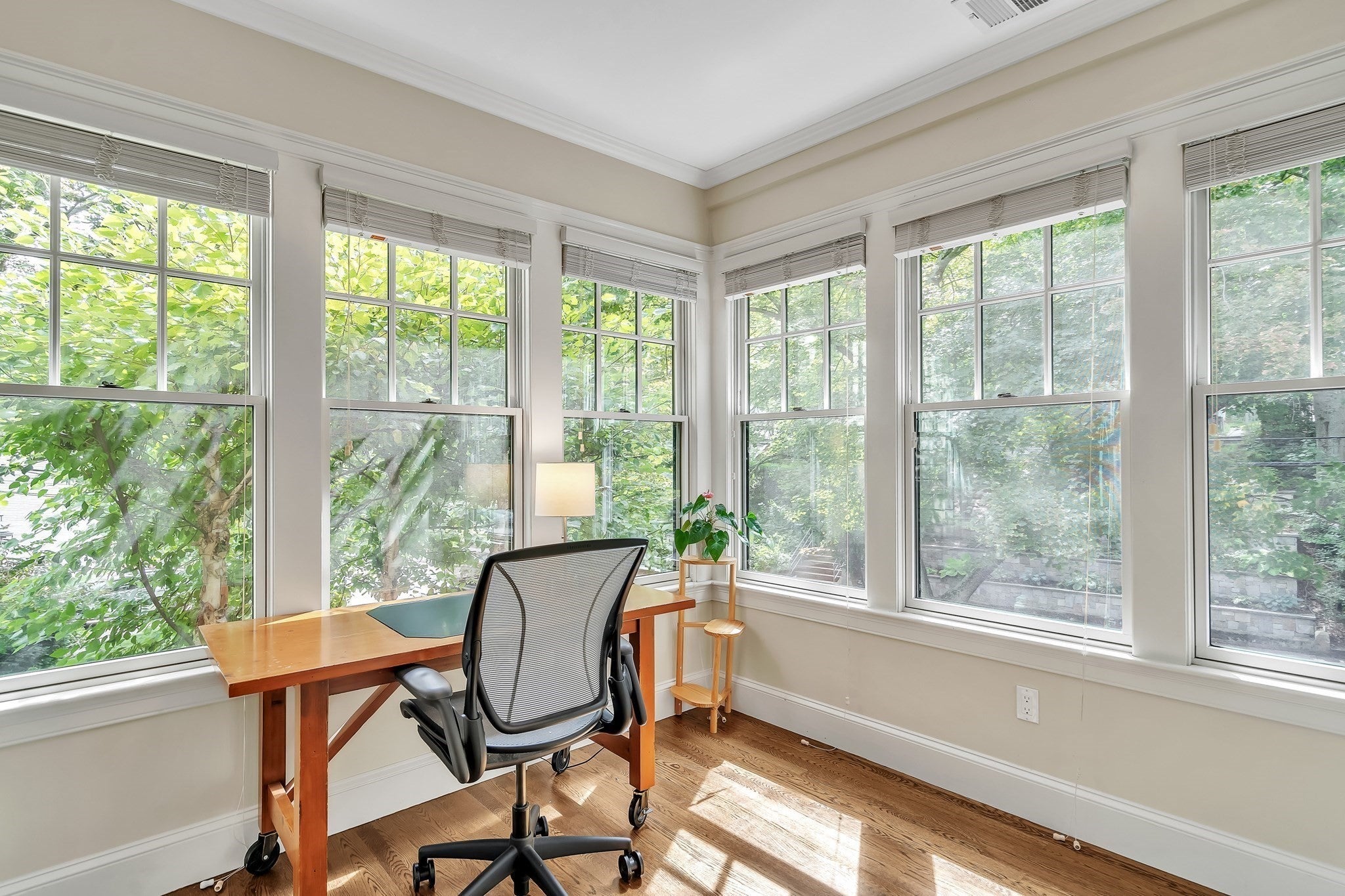 131 Winchester St #131, Brookline, MA, 131 Winchester St #131, Brookline, MA Photo #9