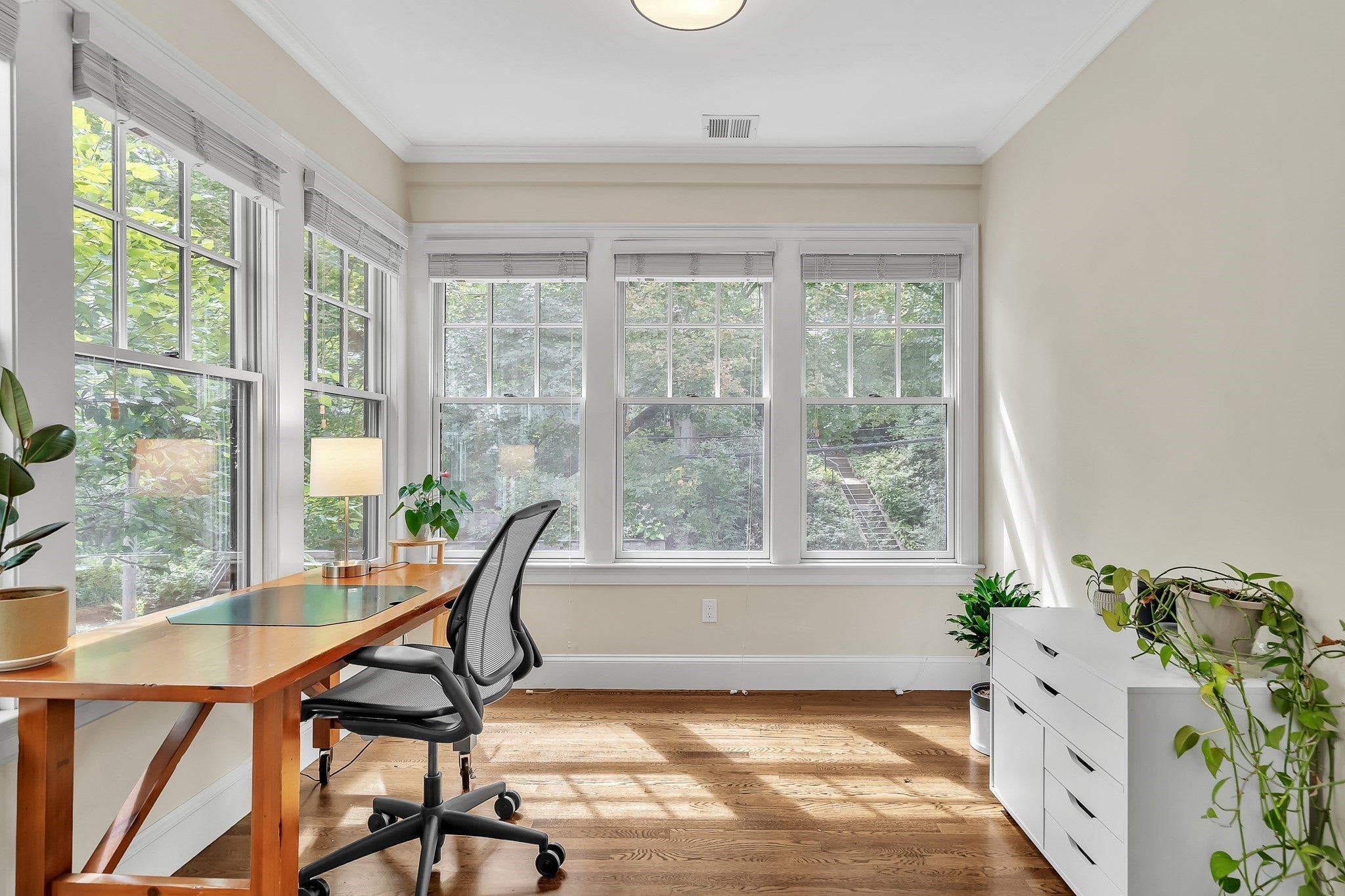 131 Winchester St #131, Brookline, MA, 131 Winchester St #131, Brookline, MA Photo #11
