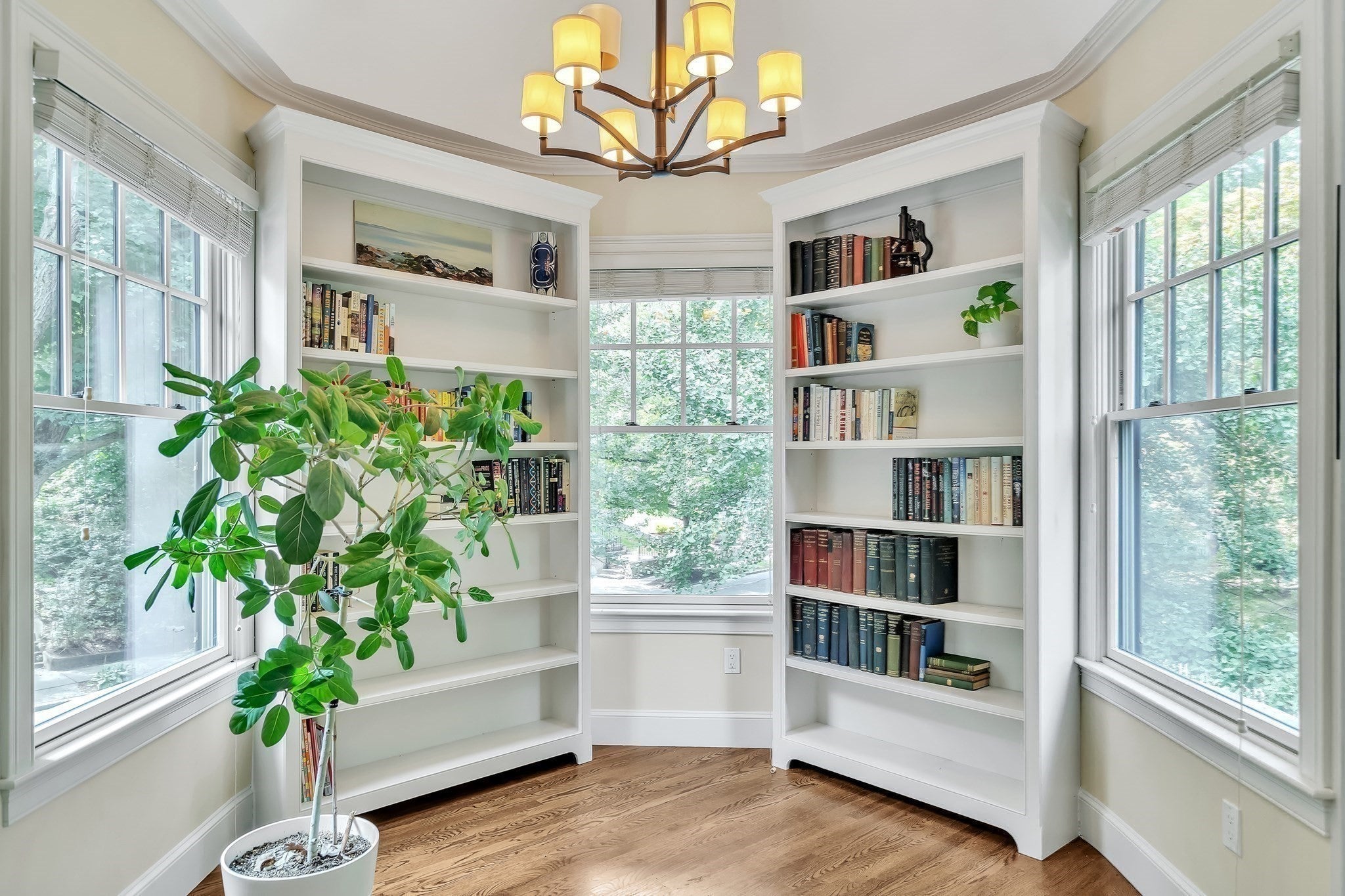 131 Winchester St #131, Brookline, MA, 131 Winchester St #131, Brookline, MA Photo #7