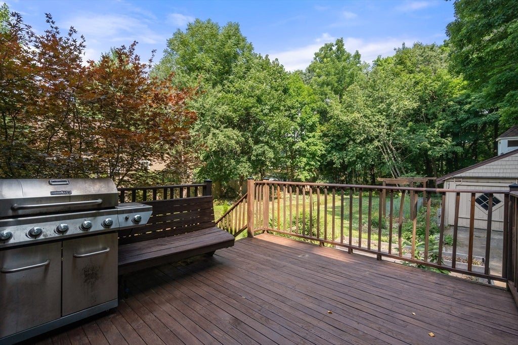 203 Chapman Street, Canton, MA, 203 Chapman Street, Canton, MA Photo #29