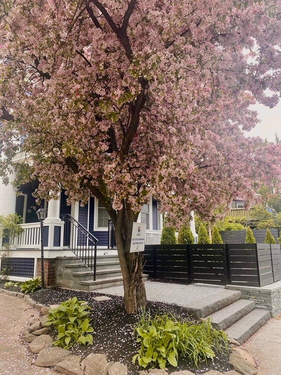 38 Fuller Street