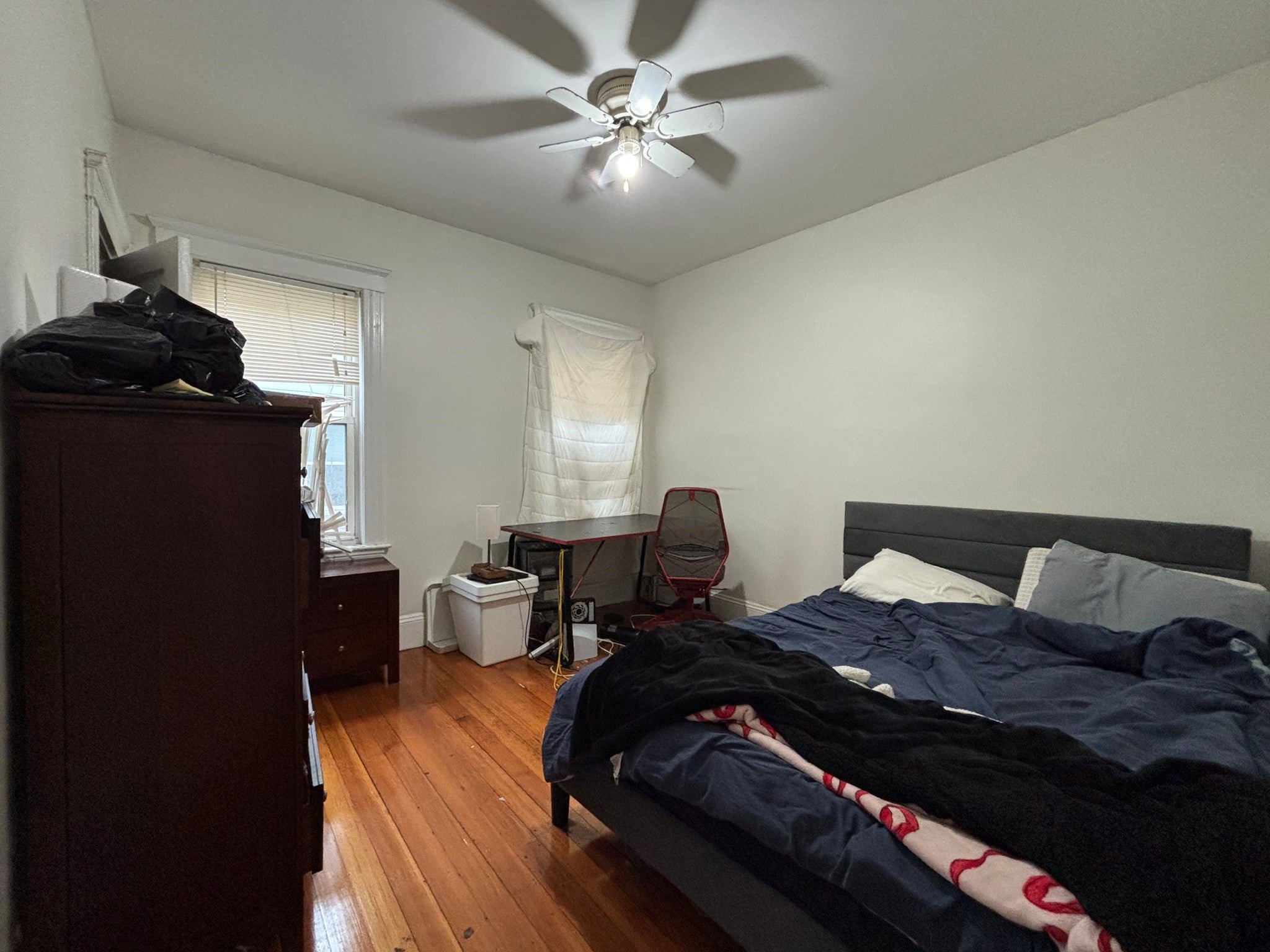 132 Buttonwood Street #2, Boston, MA, 132 Buttonwood Street #2, Boston, MA Photo #4