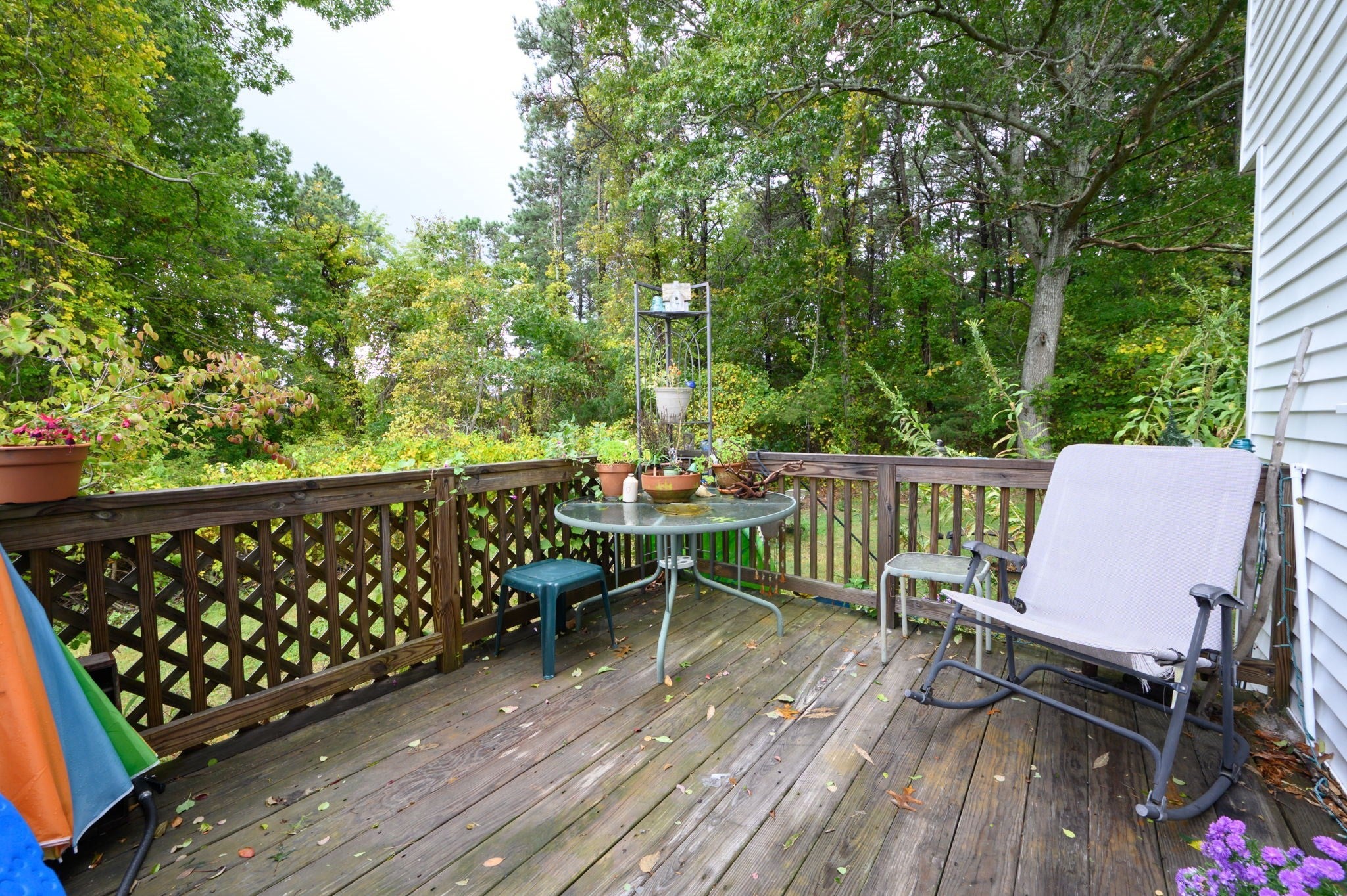 53 Beaver Dam Rd, Plymouth, MA Photo #29