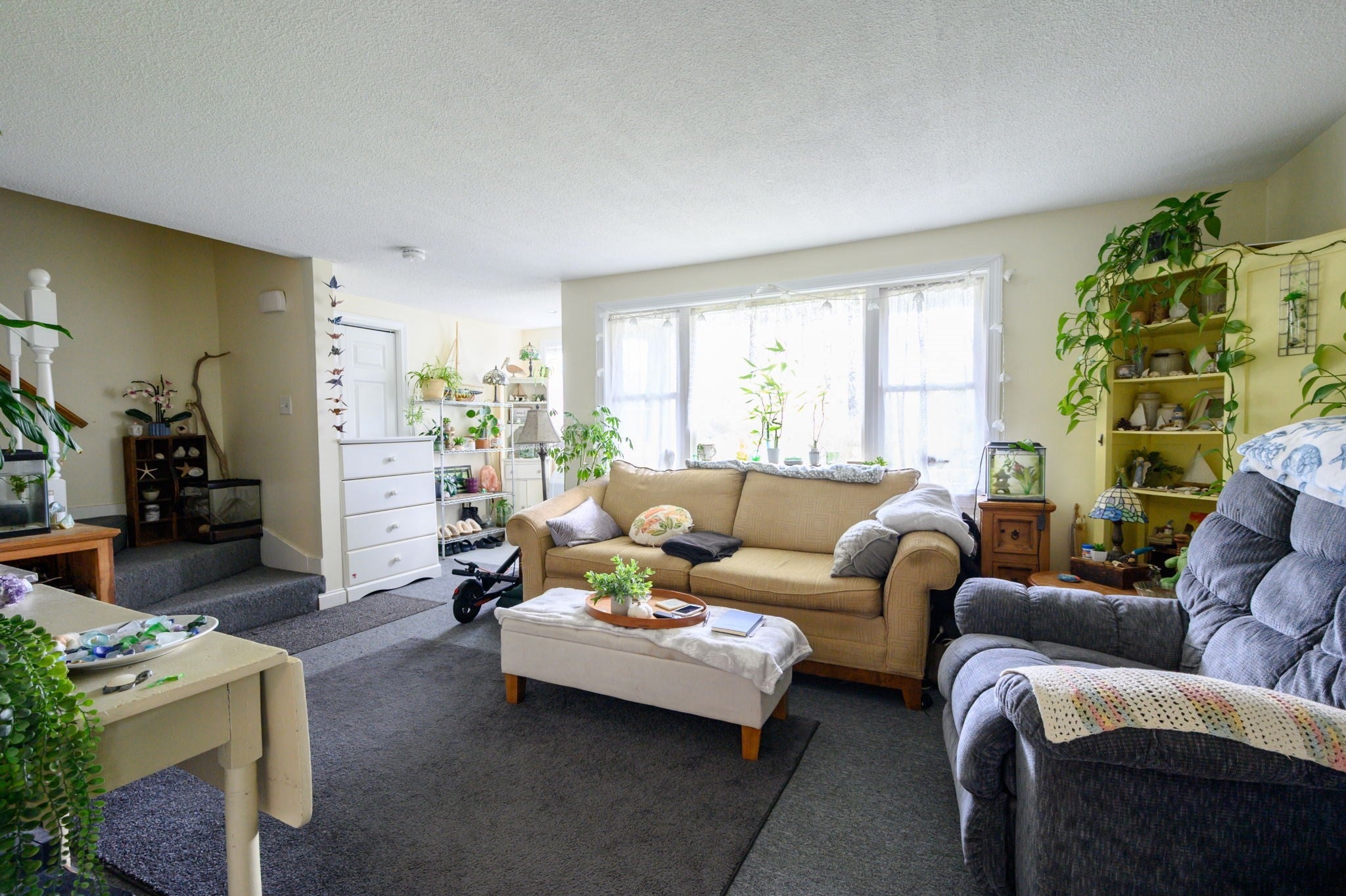 53 Beaver Dam Rd, Plymouth, MA Photo #21