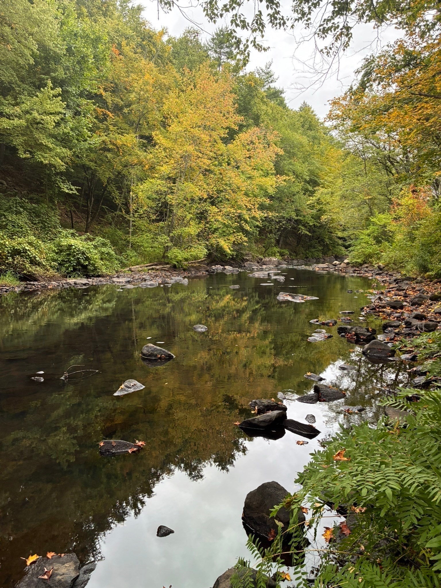 16-18 Curboy Rd, Sturbridge, MA, 16-18 Curboy Rd, Sturbridge, MA Photo #35