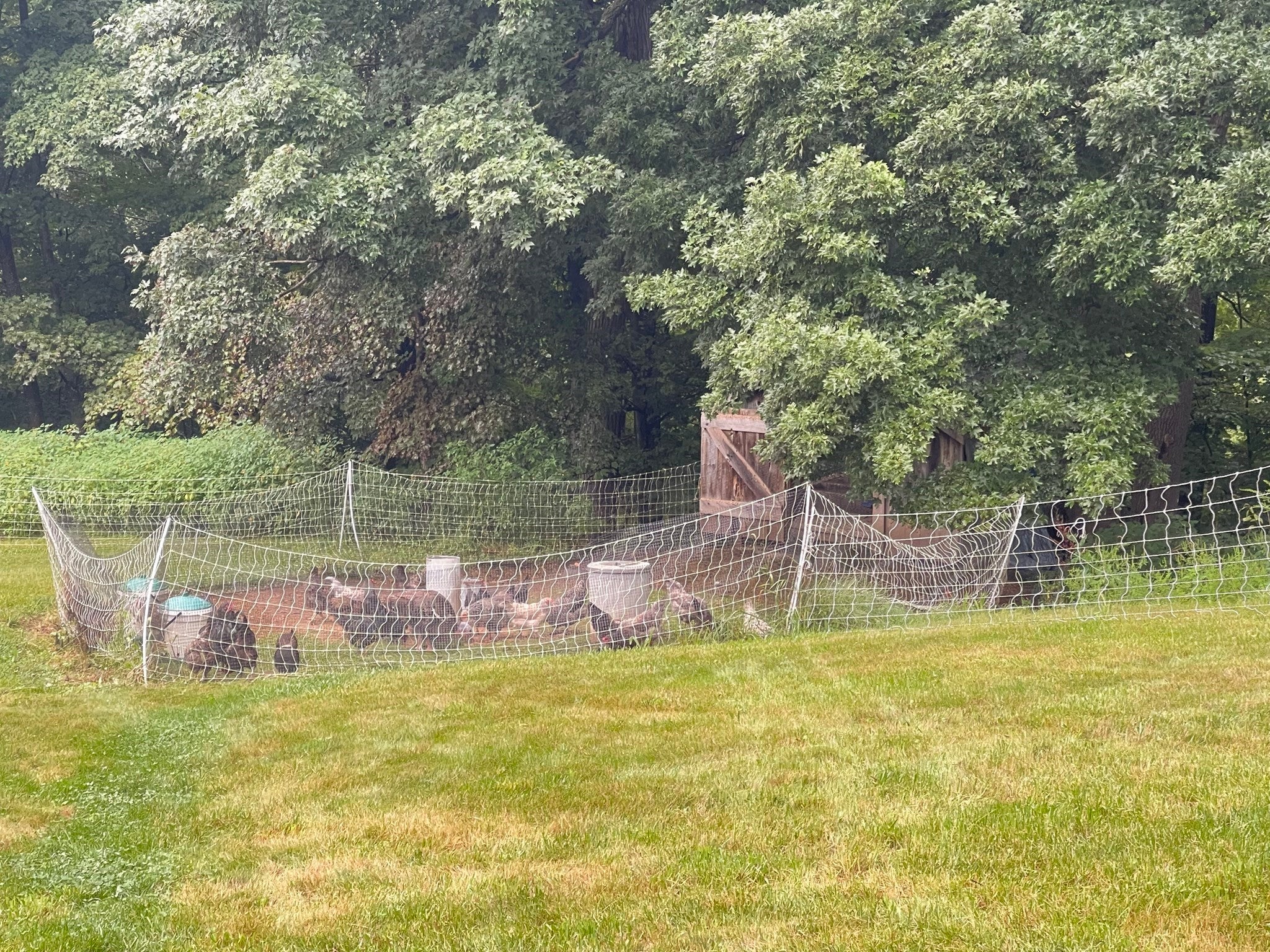 16-18 Curboy Rd, Sturbridge, MA, 16-18 Curboy Rd, Sturbridge, MA Photo #31