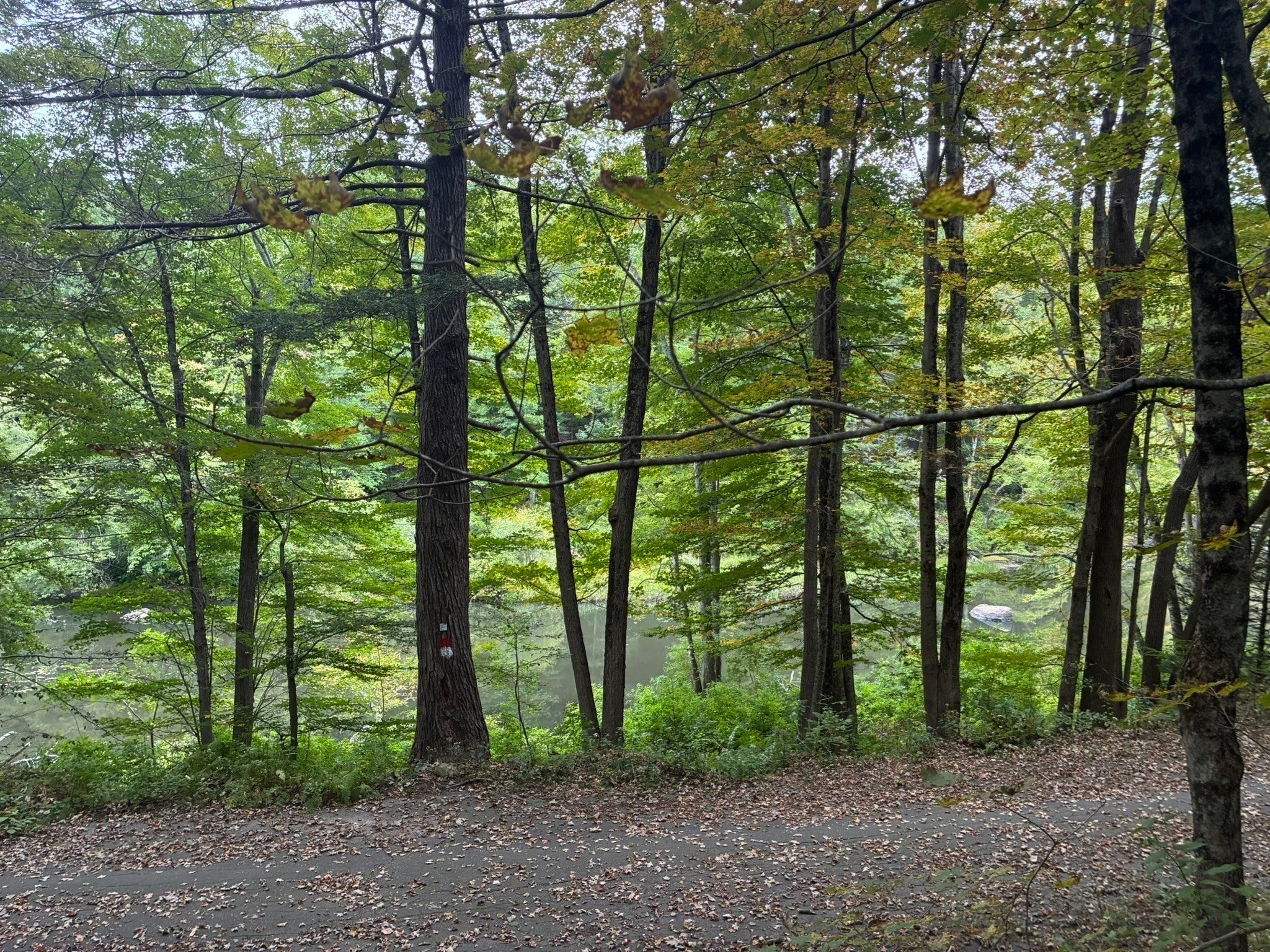 16-18 Curboy Rd, Sturbridge, MA, 16-18 Curboy Rd, Sturbridge, MA Photo #34