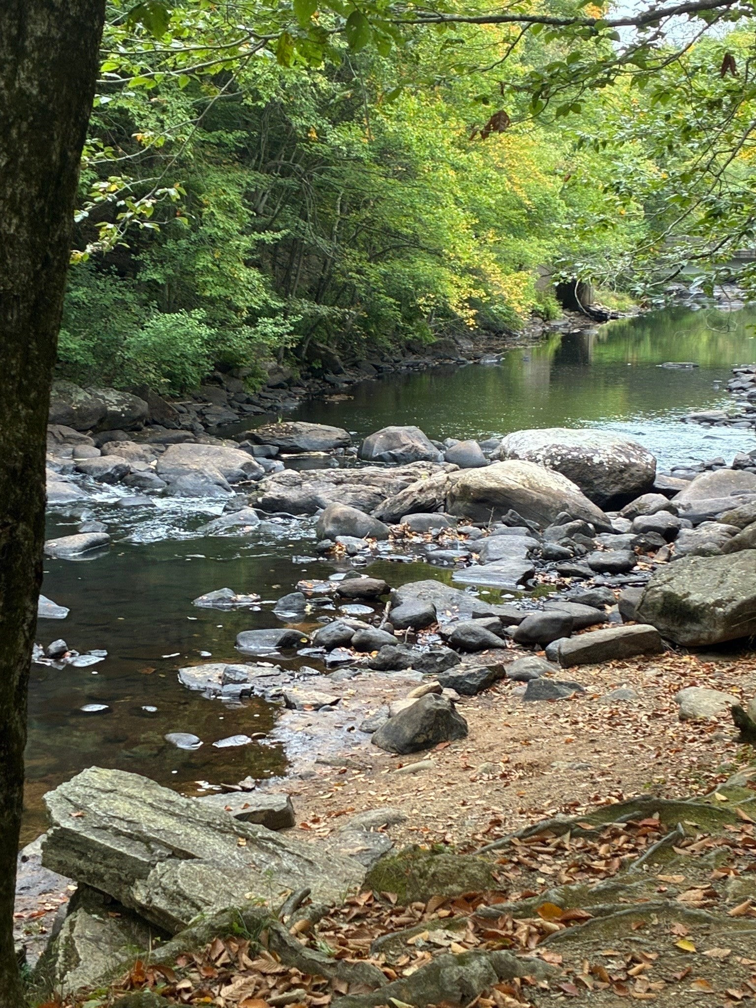 16-18 Curboy Rd, Sturbridge, MA, 16-18 Curboy Rd, Sturbridge, MA Photo #36