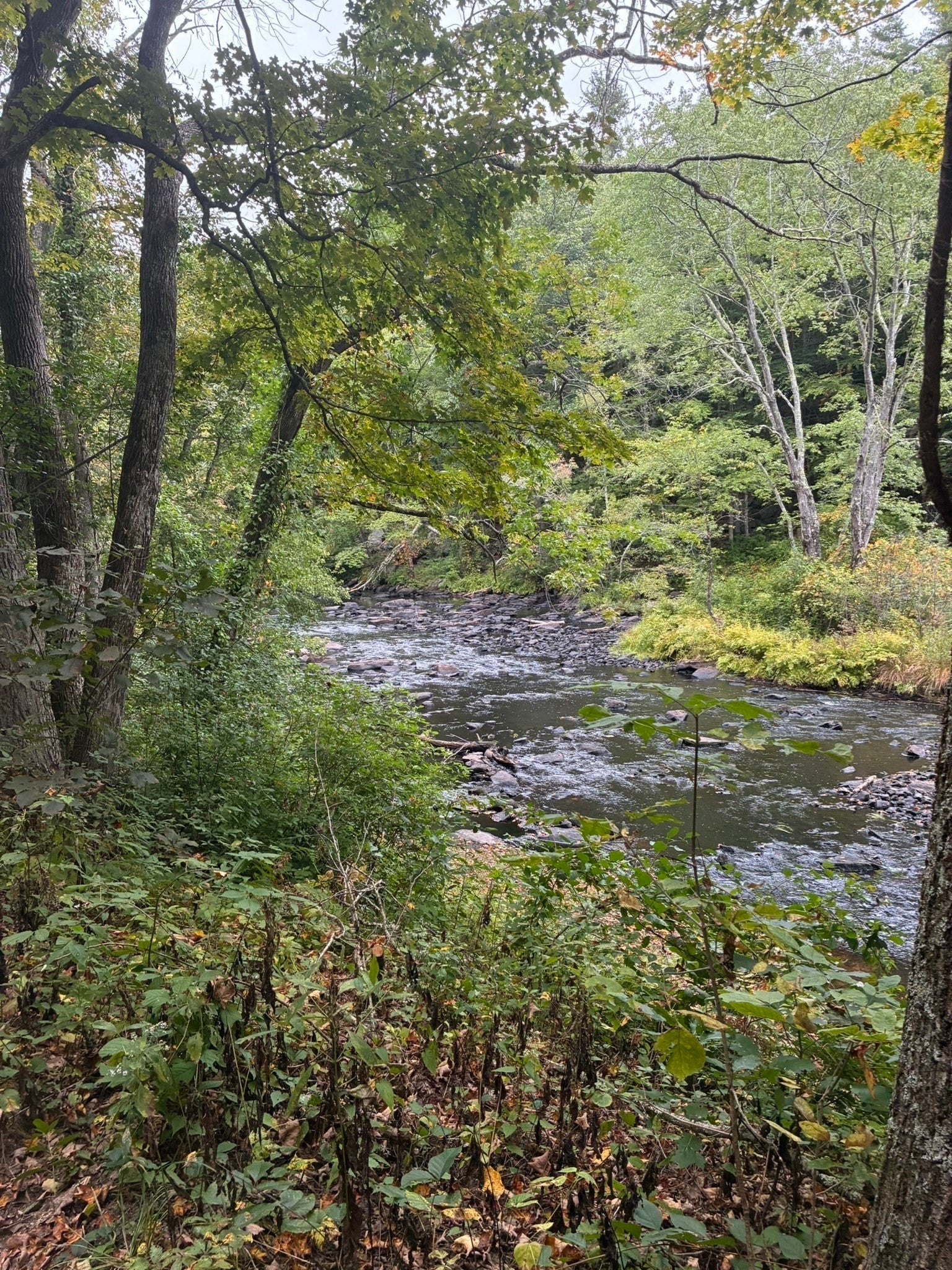 16-18 Curboy Rd, Sturbridge, MA, 16-18 Curboy Rd, Sturbridge, MA Photo #37