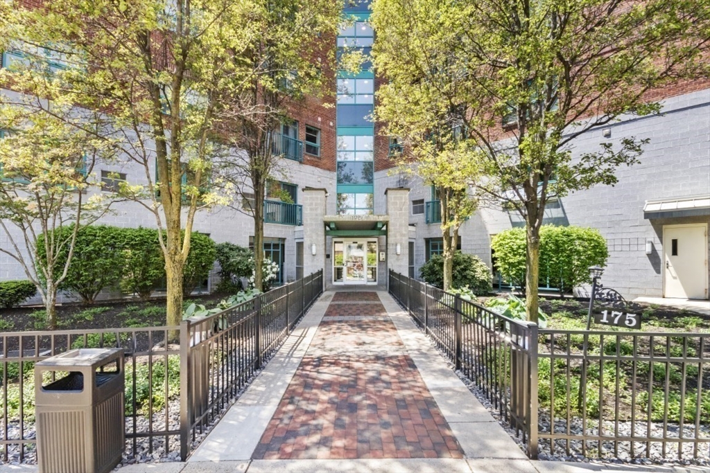 175 Cottage St 504