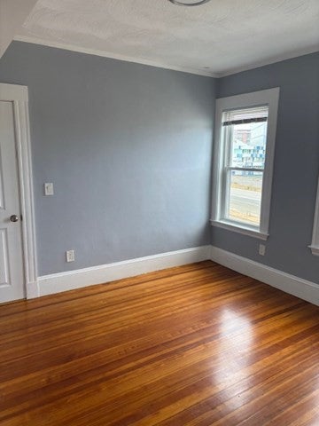 19 New Hampshire Ave #3, Somerville, MA, 19 New Hampshire Ave #3, Somerville, MA Photo #5