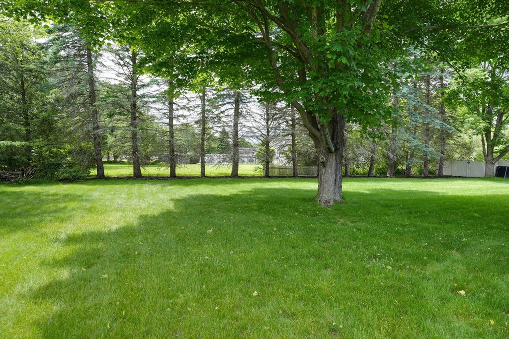 15 Lanthorn Rd