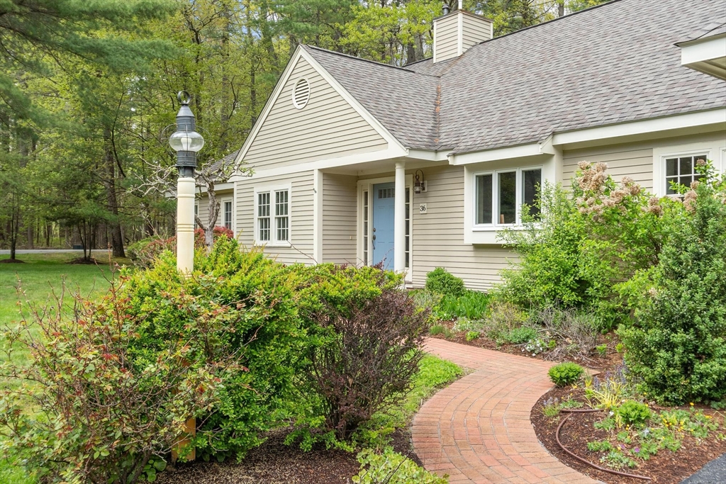 36 Pickman Dr 36