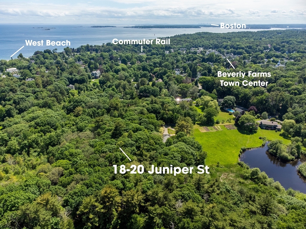 20 Juniper