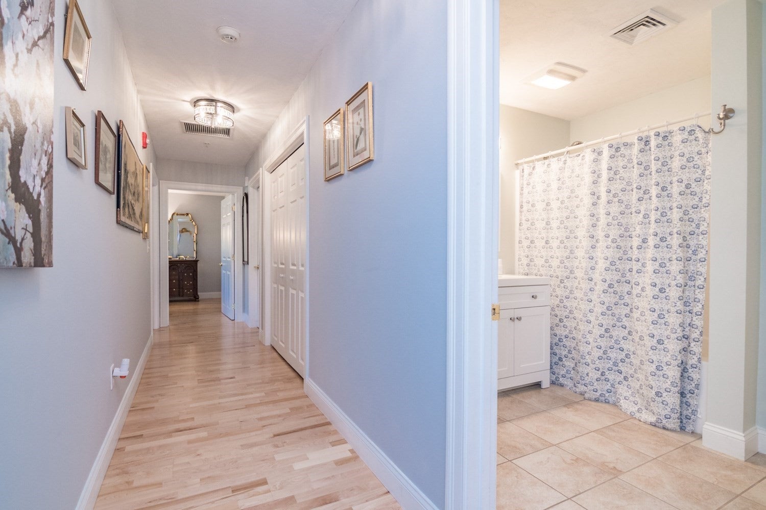 25 Greenleaves Dr #529, Amherst, MA, 25 Greenleaves Dr #529, Amherst, MA Photo #14