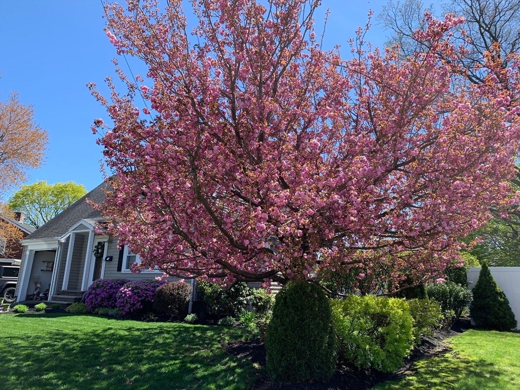 18 Beaver St, Waltham, MA, 18 Beaver St, Waltham, MA Photo #4