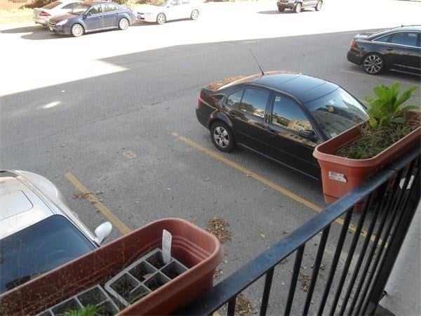 1500 Commonwealth Ave #2F, Boston, MA, 1500 Commonwealth Ave #2F, Boston, MA Photo #8