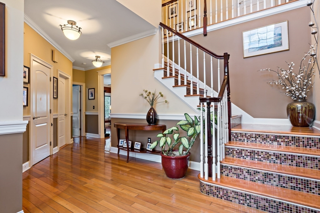 20 Taylor Drive