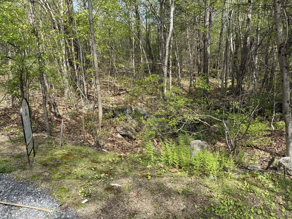 Lot 0 Old Westminster Rd