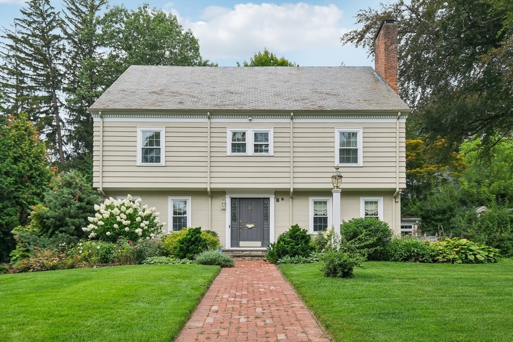 7 Westland St