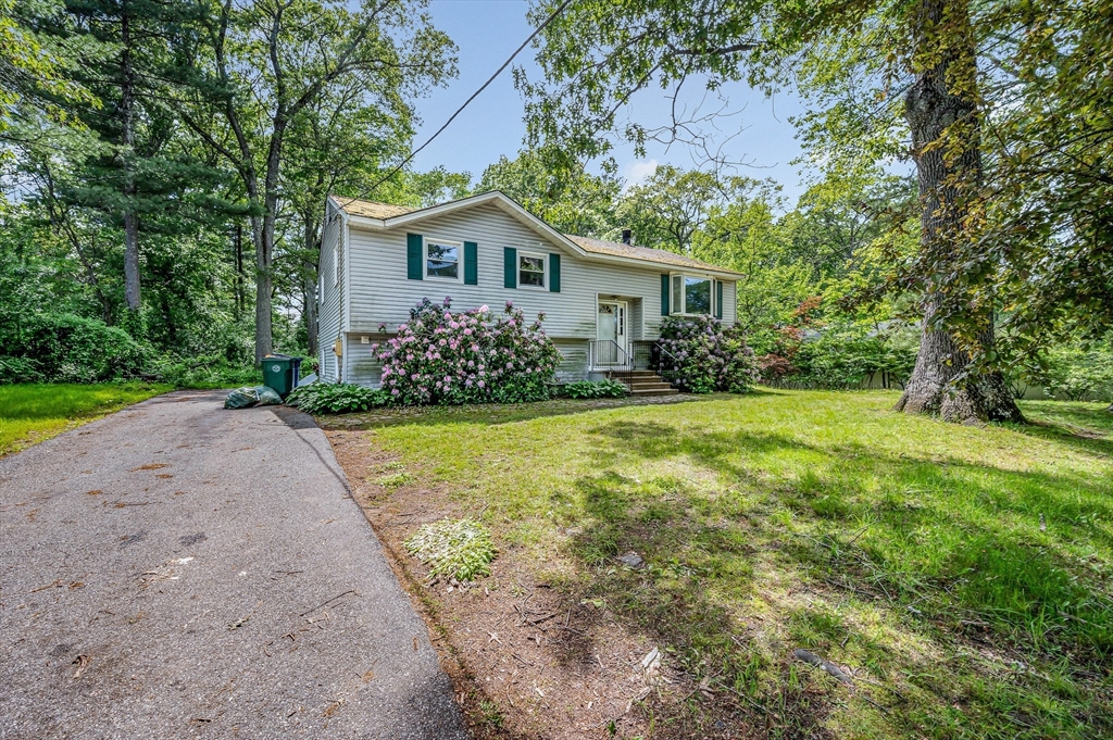 19 Porter St