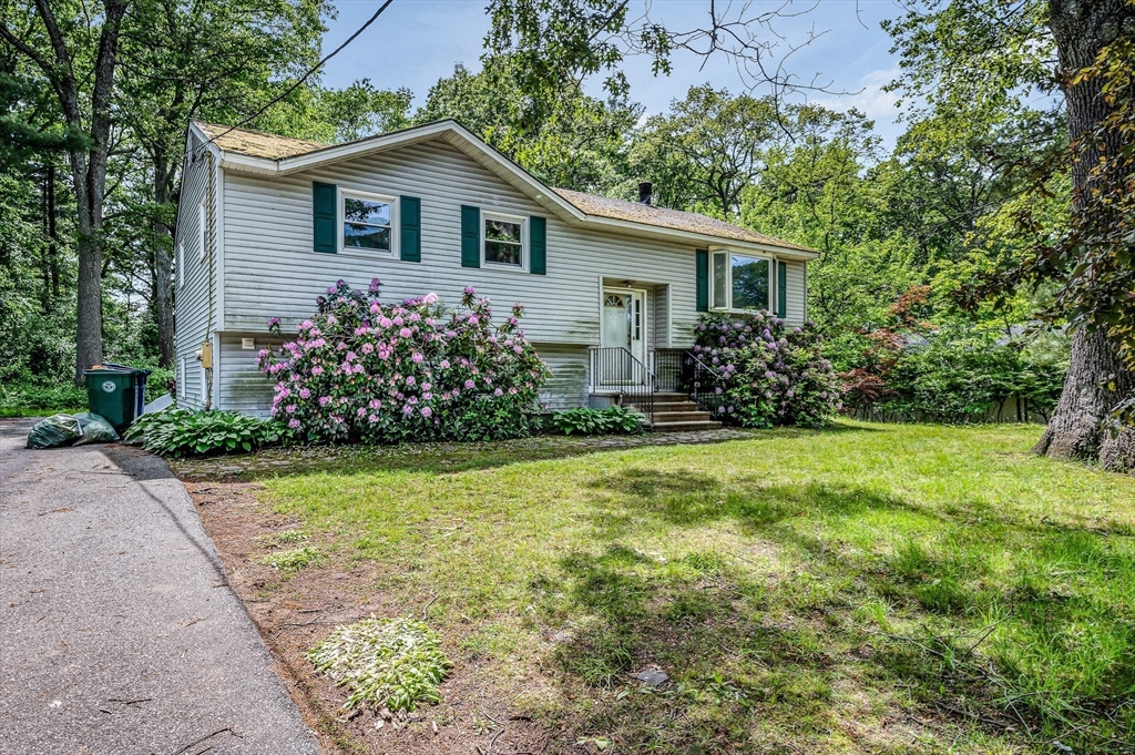 19 Porter St